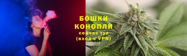 PSILOCYBIN Богородицк